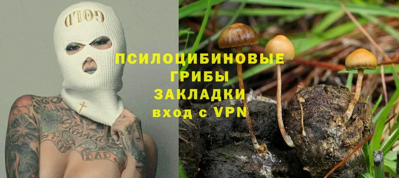 Псилоцибиновые грибы Psilocybe  гидра как войти  Любим  магазин   